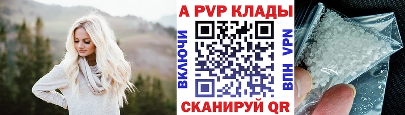 KRAKEN tor Княгинино Альфа ПВП VHQ