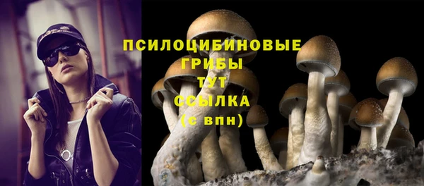 кокаин Богданович