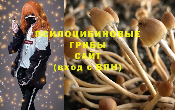 apvp Бугульма