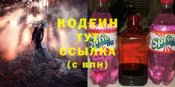 спиды Богородск