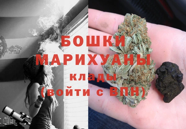 дживик Бронницы