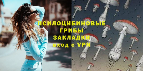 дживик Бронницы