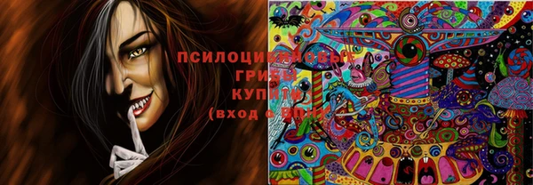 кокаин Богданович