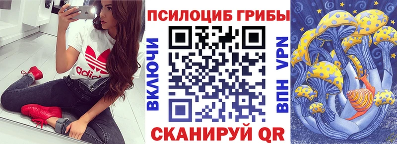 Галлюциногенные грибы мухоморы  Княгинино 