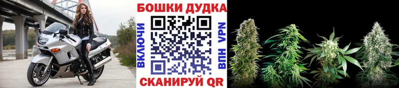 Бошки Шишки Amnesia  Княгинино 